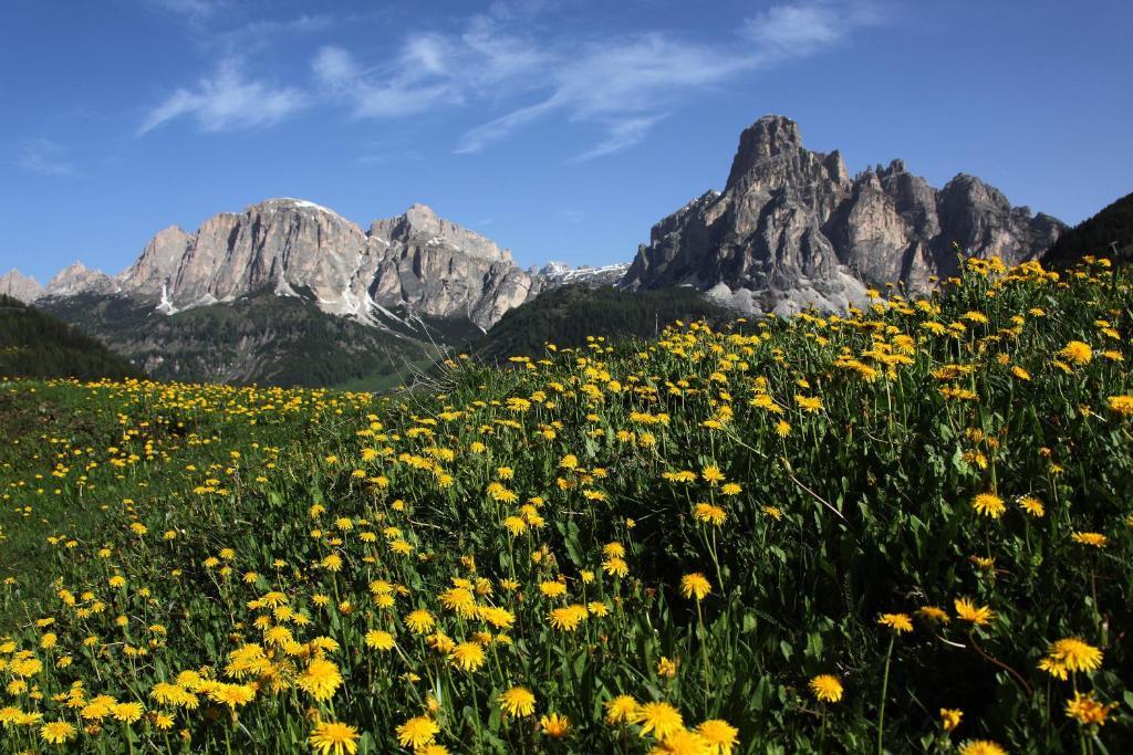 Hotel Bel Sit Corvara In Badia Εξωτερικό φωτογραφία